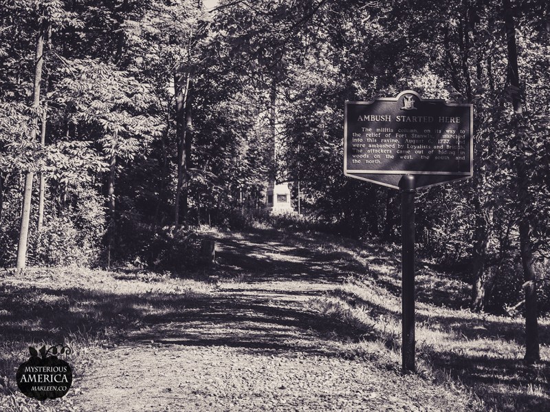 Photo by Michael Kleen