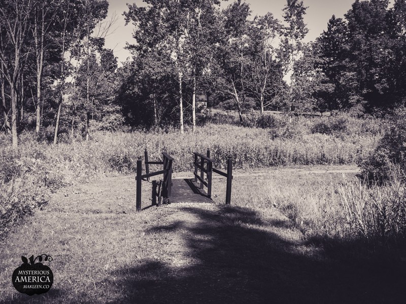 Photo by Michael Kleen