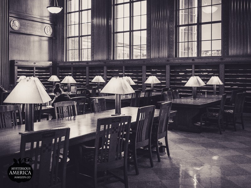 Photo by Michael Kleen