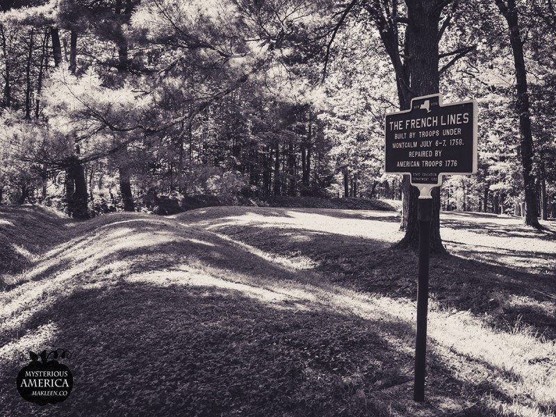 Photo by Michael Kleen