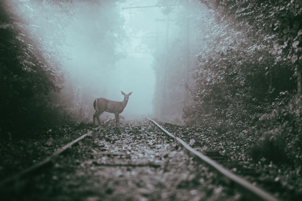 Indiana’s Most Haunted